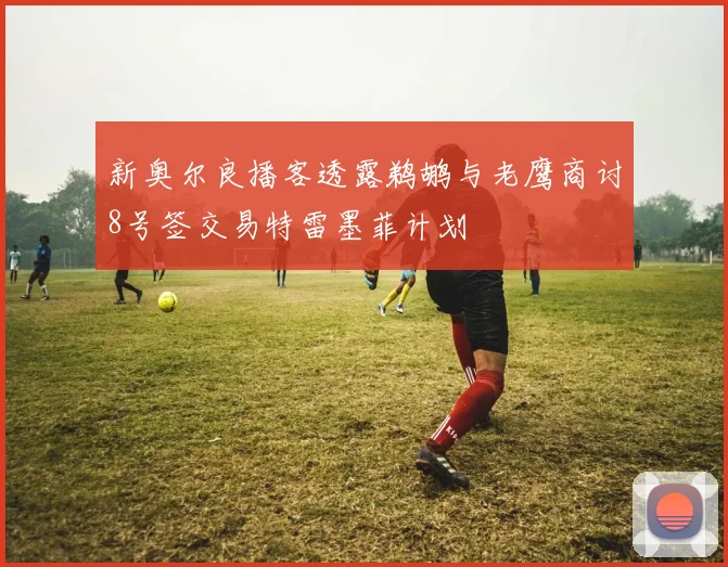 新奥尔良播客透露鹈鹕与老鹰商讨8号签交易特雷墨菲计划